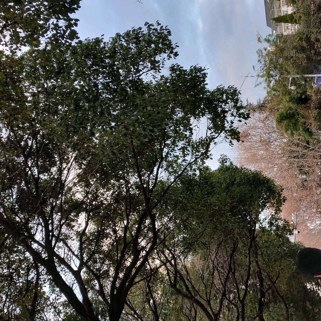 小西瓜🍉
