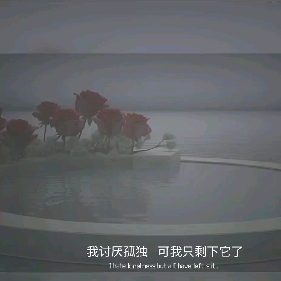 ᭄半醒半醉꧔ꦿᩚ半浮生💕🥀