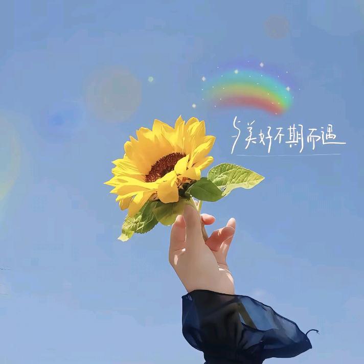 畅玩娱乐