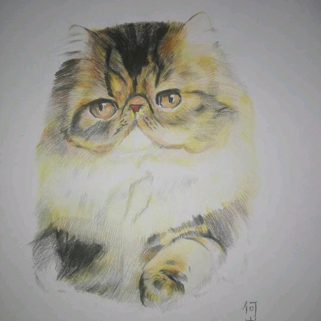 🥀᭄熟悉꧔ꦿᩚ的陌生人ꦿྀ💕