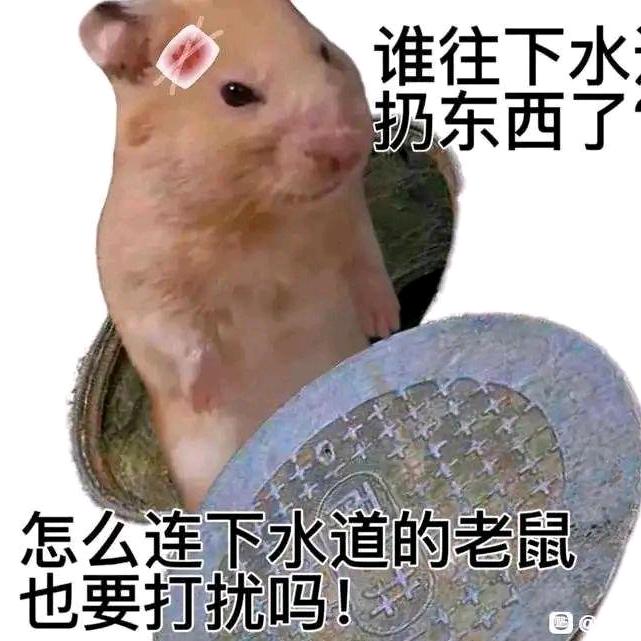衿鱼暗花