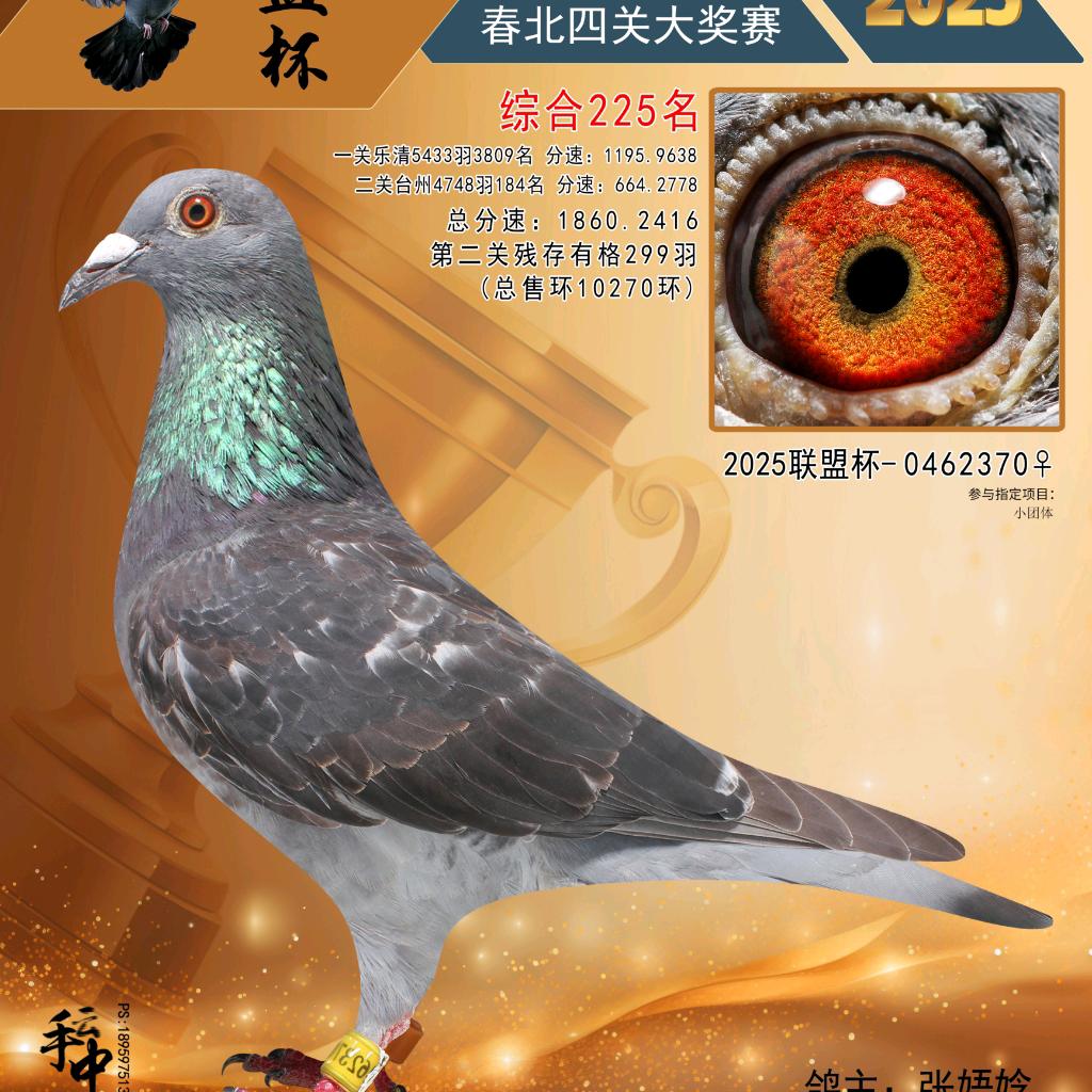 封心锁爱✔