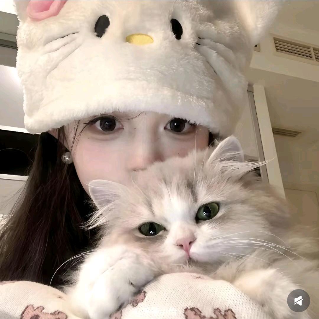 长高不长胖之财神爷心尖上的美女.