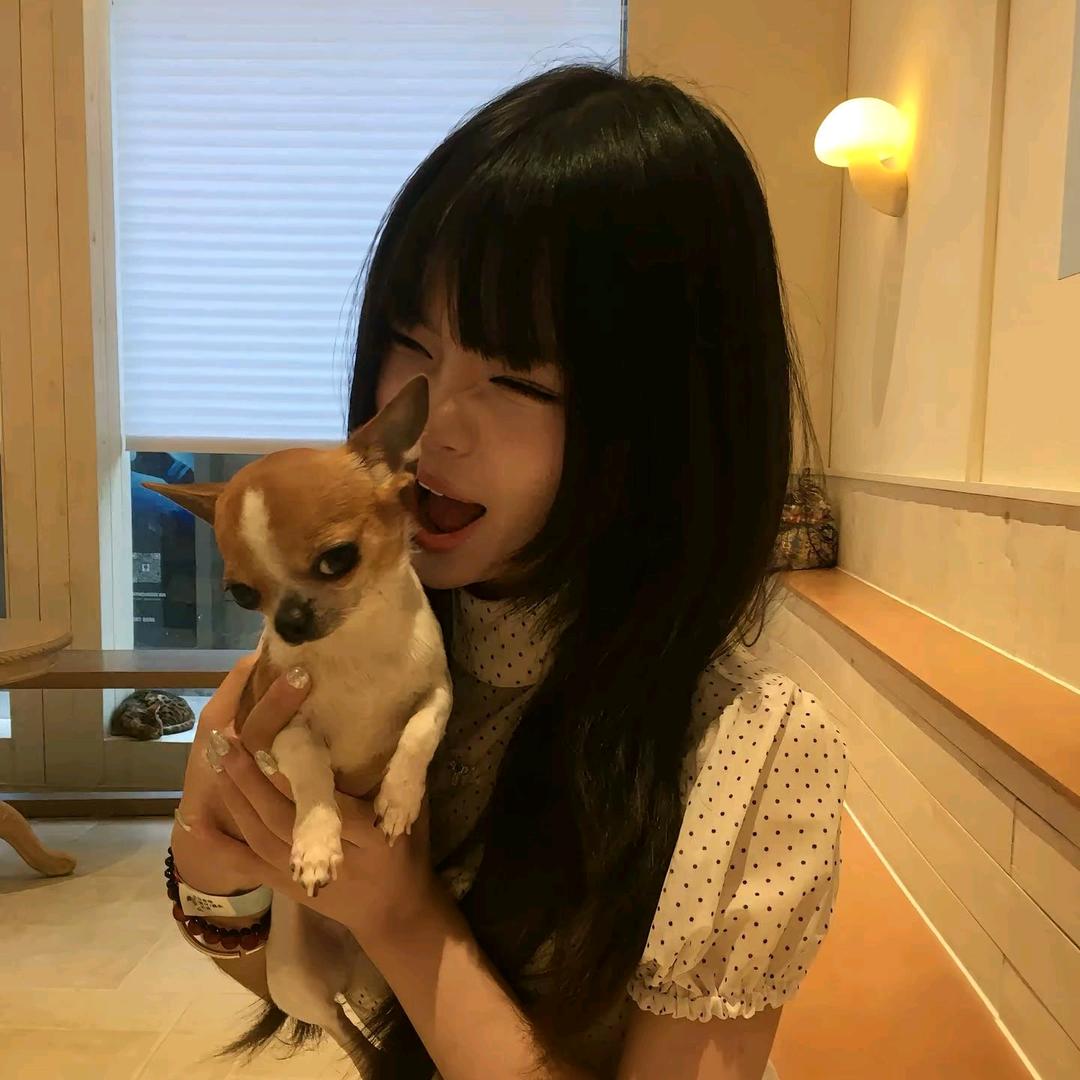 莹莹.恩师土豆🥔