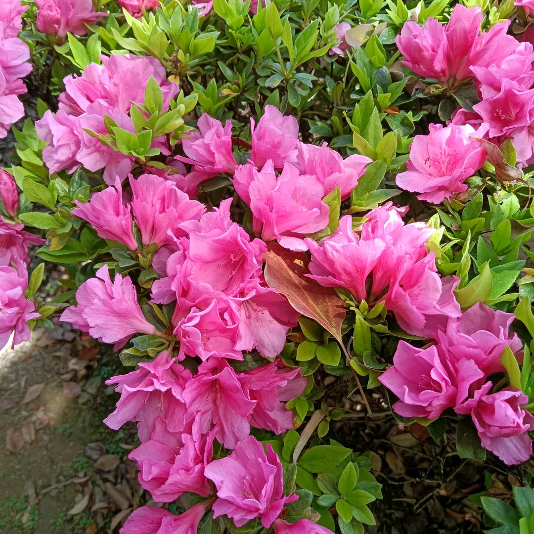 用户164830开心过x好每一天