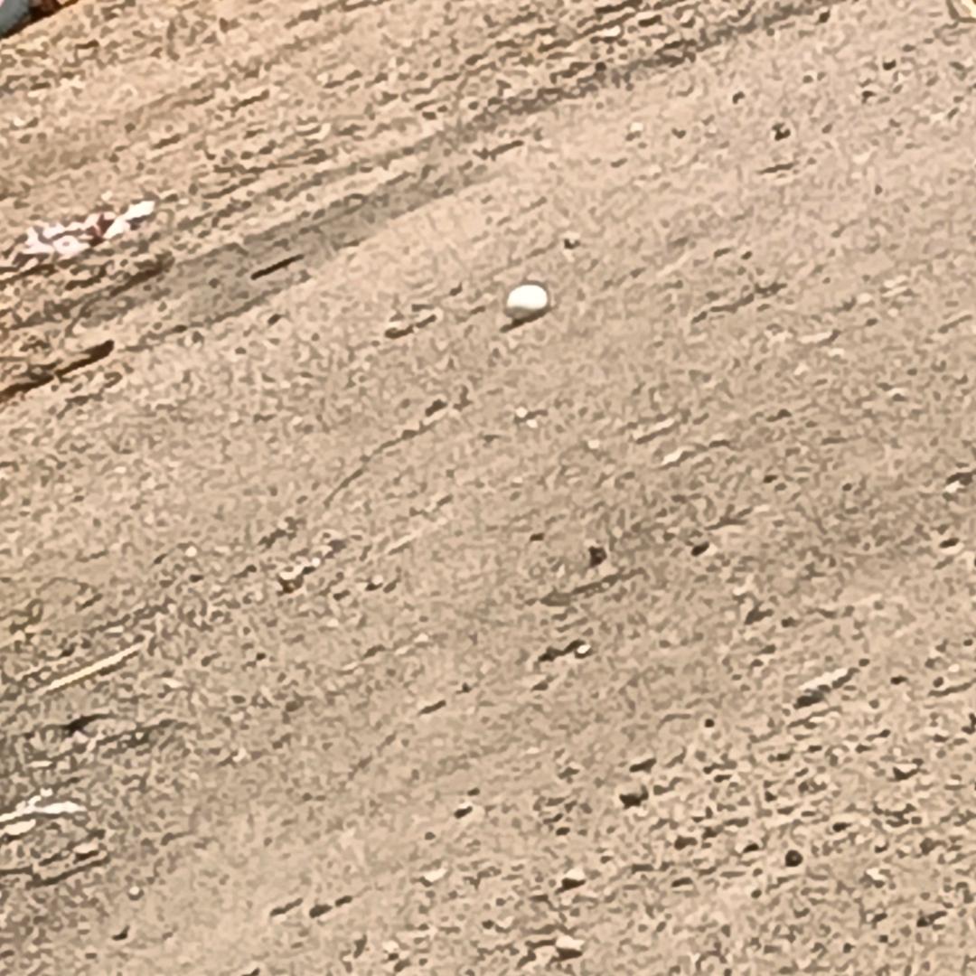 没想到
