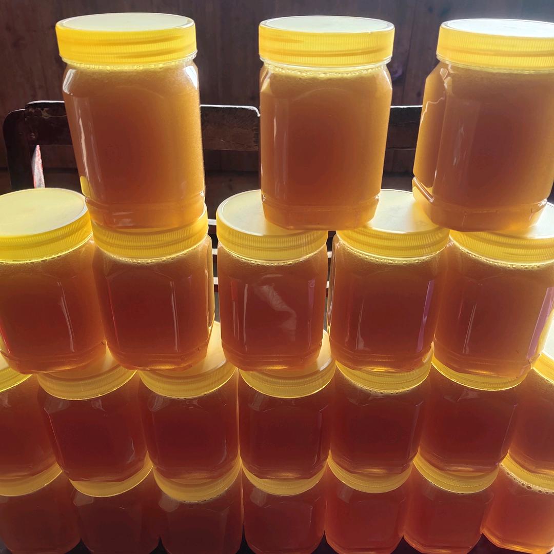 侗仔户外-追蜂🐝🐝🐝