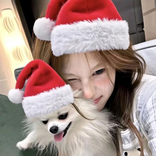 小鲨鱼𓆡