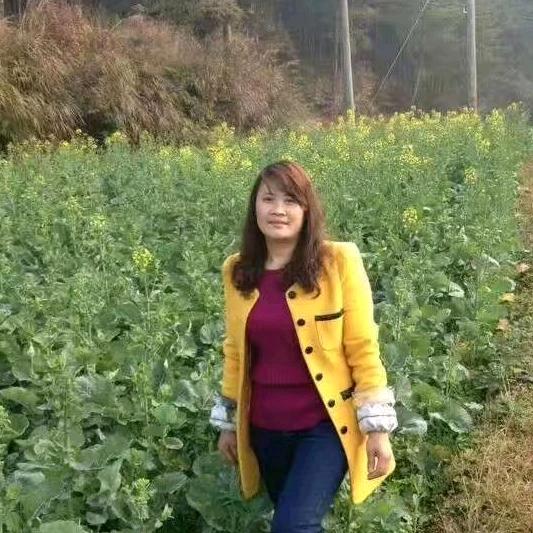 梅姐
