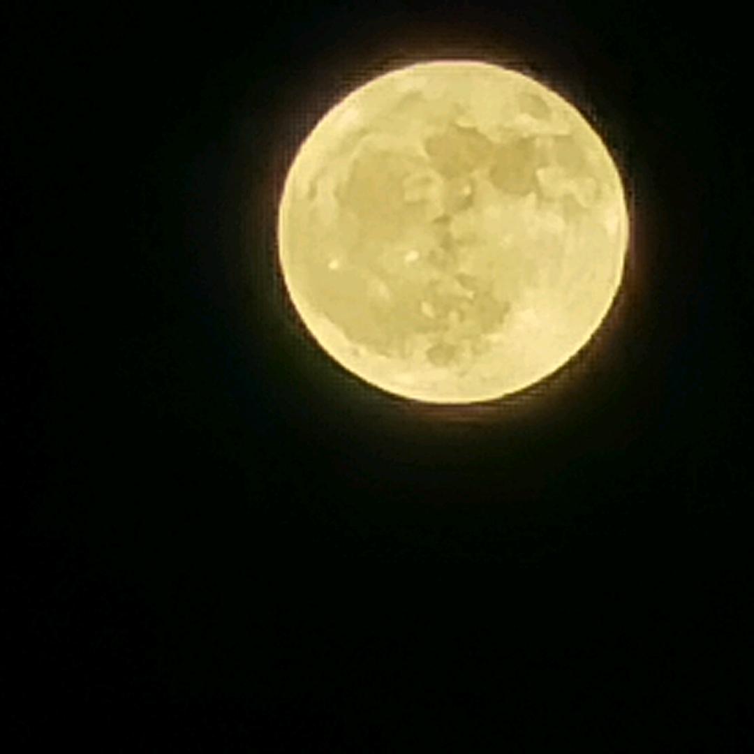 木拉石