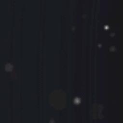 供水管道王医生