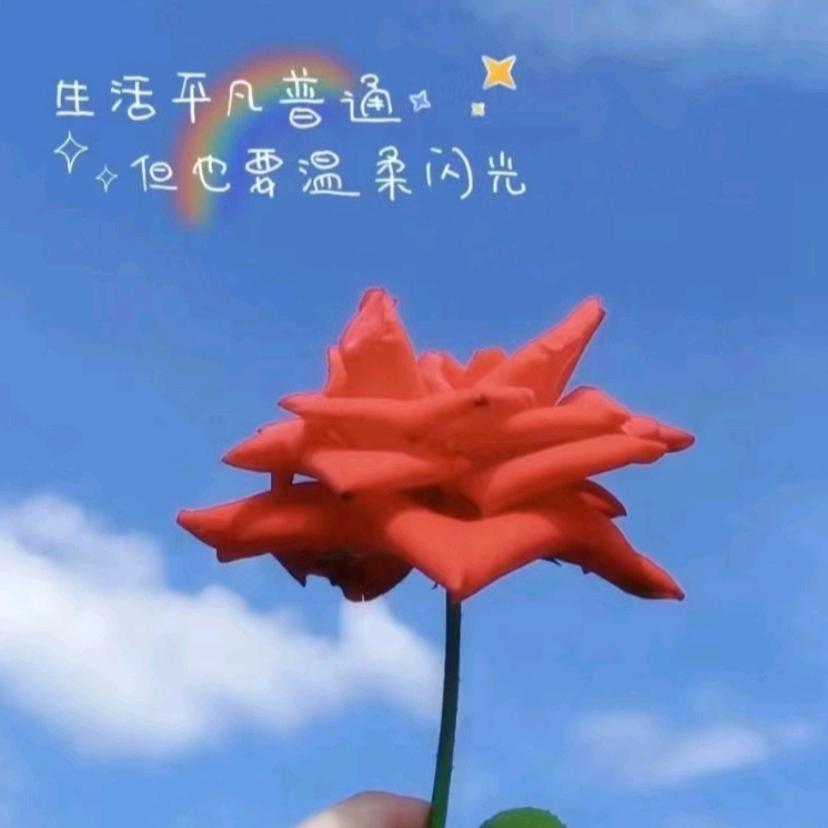 宋钰