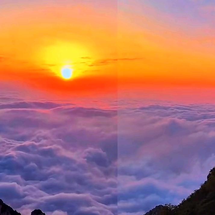 🌈🌹顺其自然