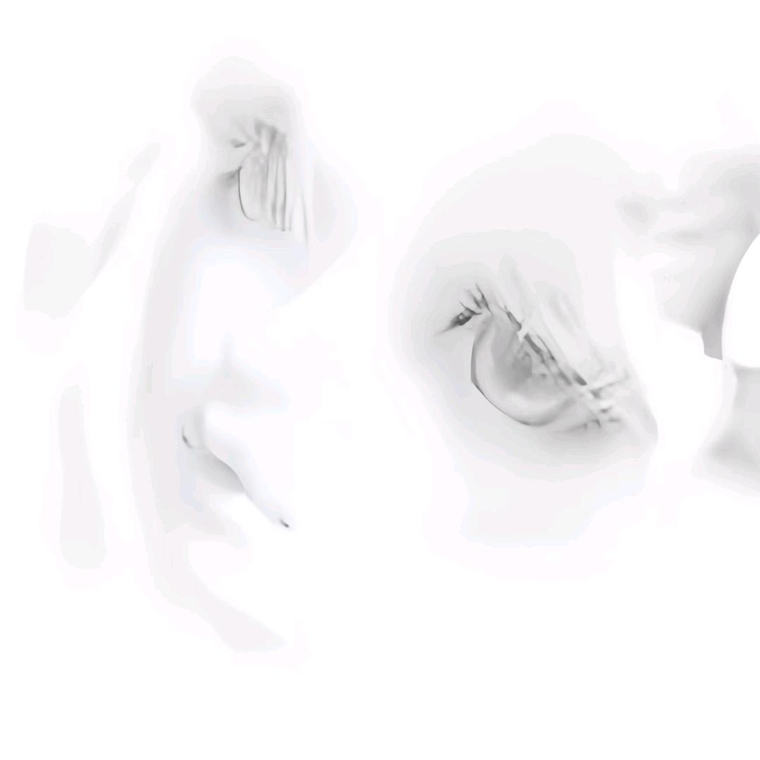 嫋嫋