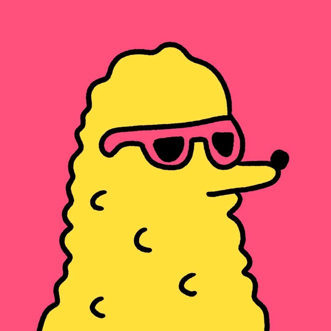 佛罗里达小鳄鱼