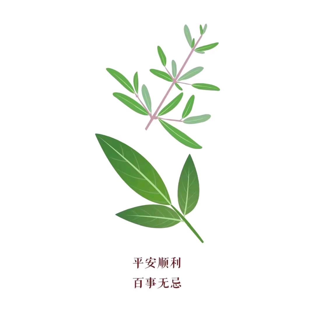 এ᭄每日在线ོ࿐（勿连赞）