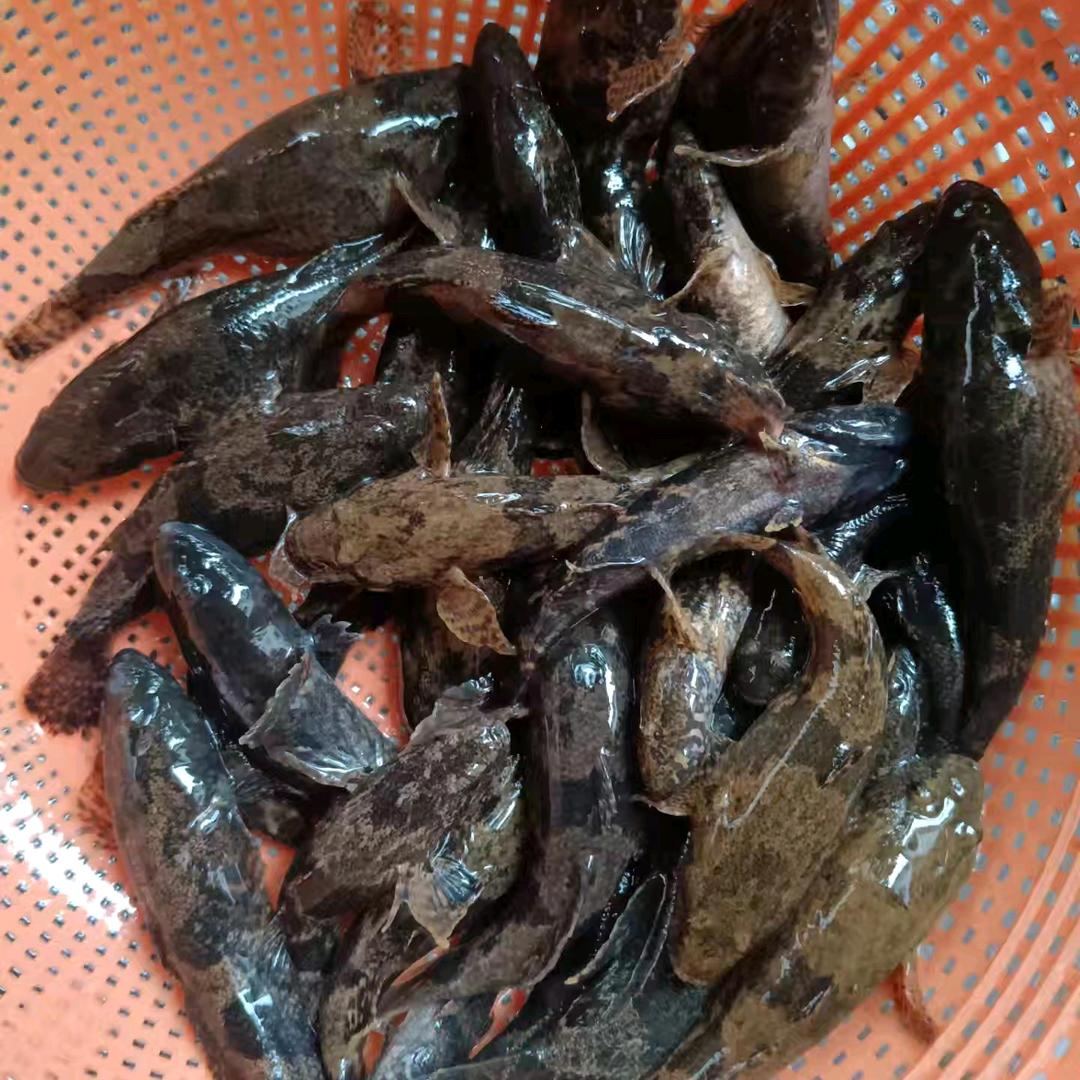户外活动