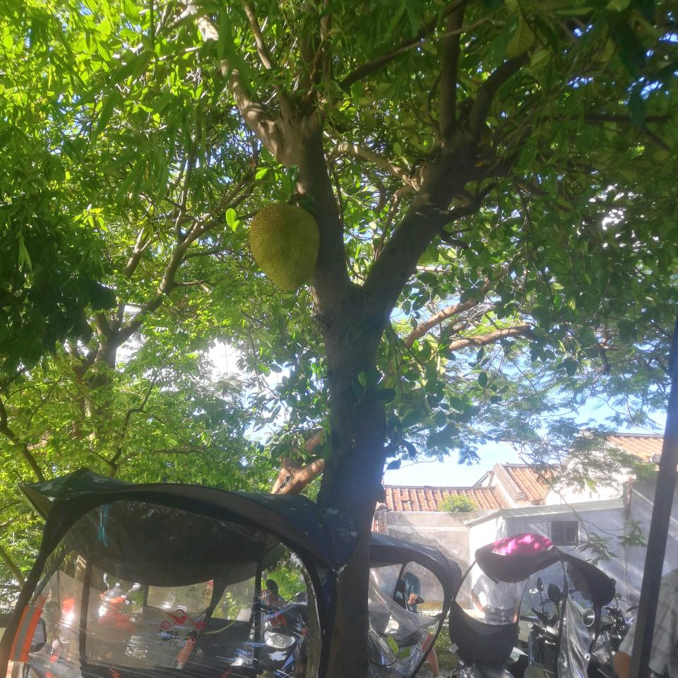 认识是缘分
