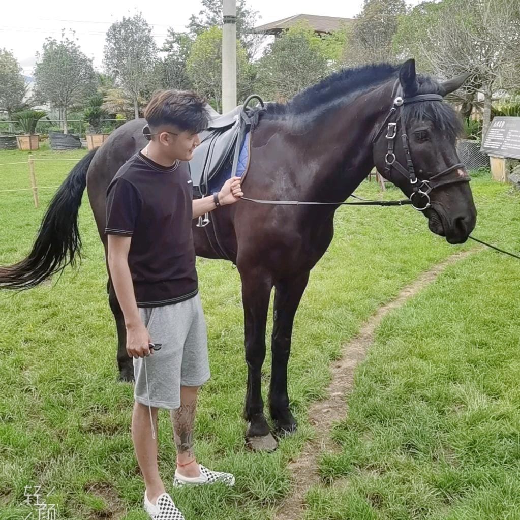 西安老酒收藏鉴定（西安茅台汇）