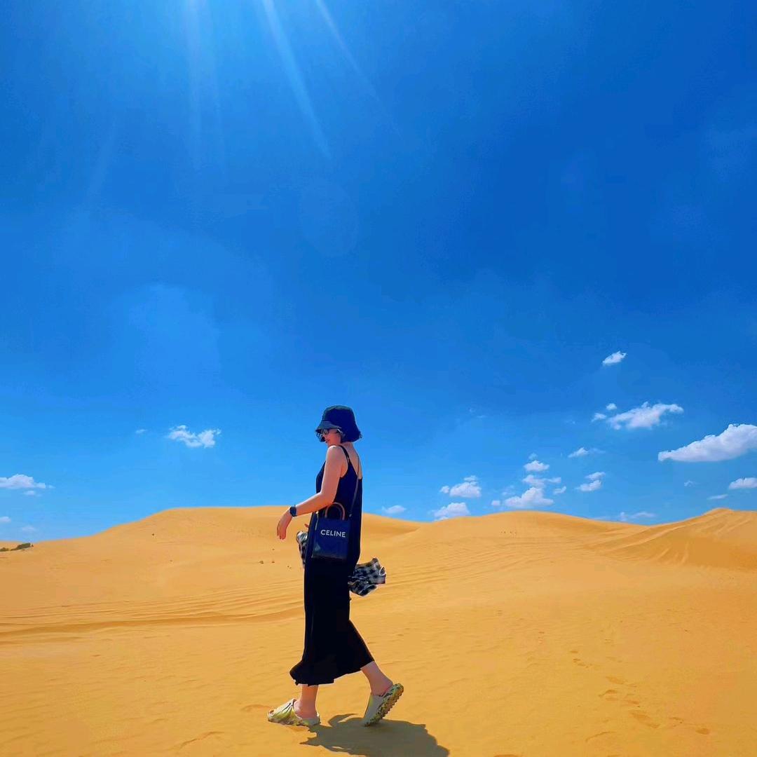 小米宝🌾