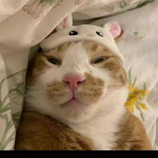 打虎英雄武松