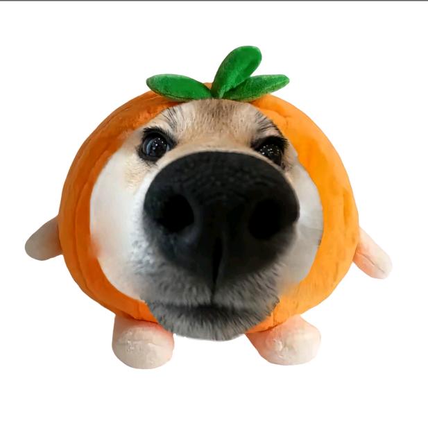 HNBBLL