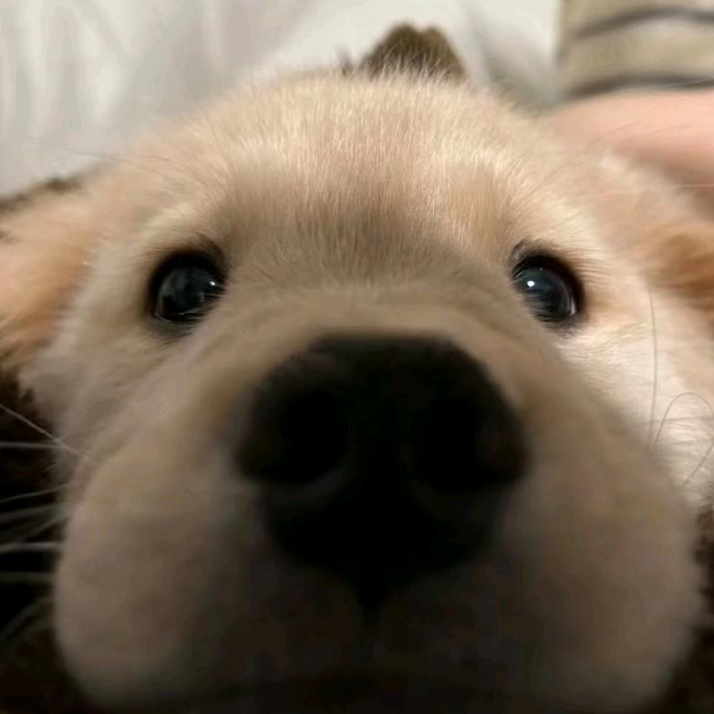 许愿