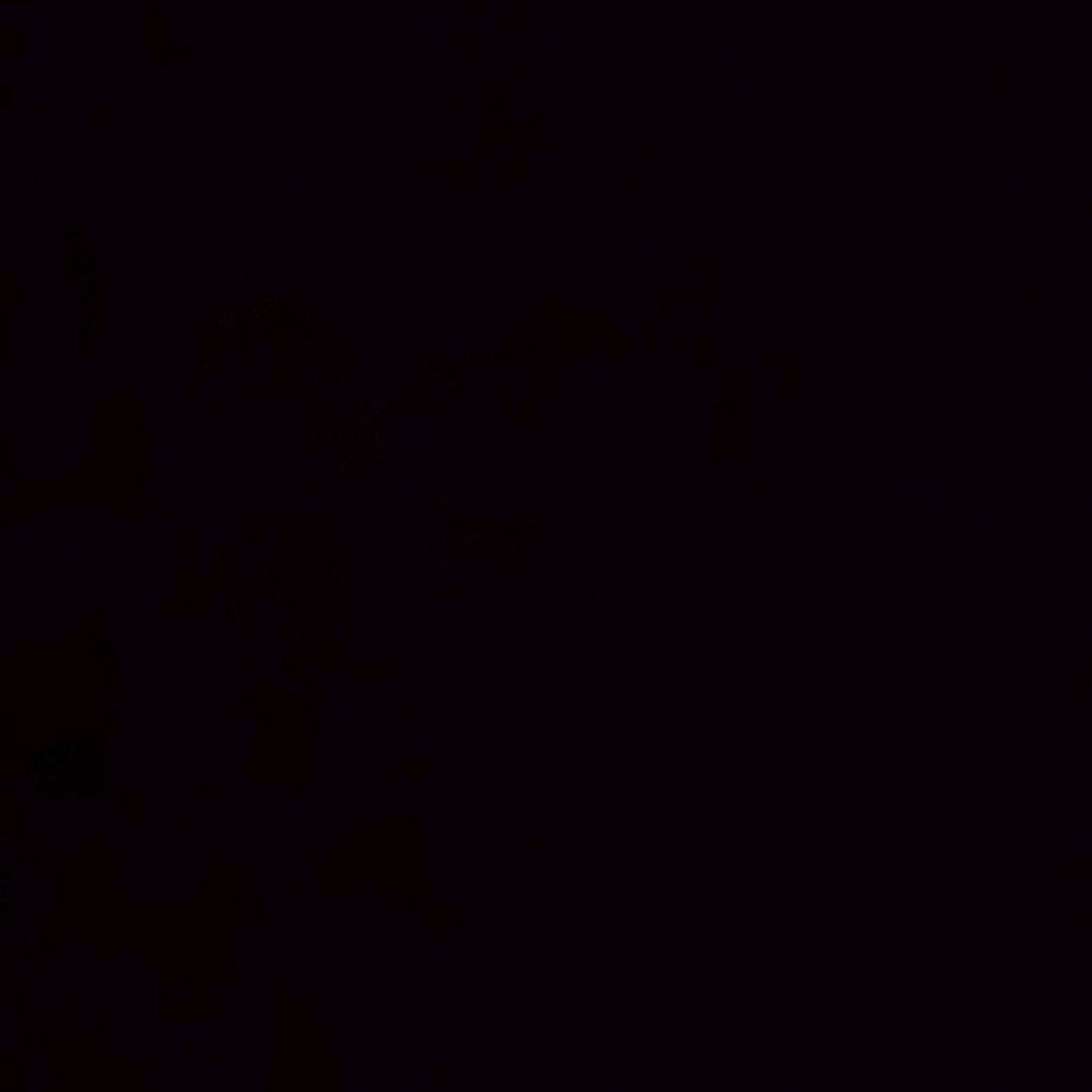 q。