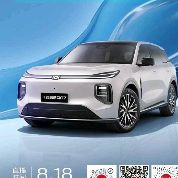 资深卖车