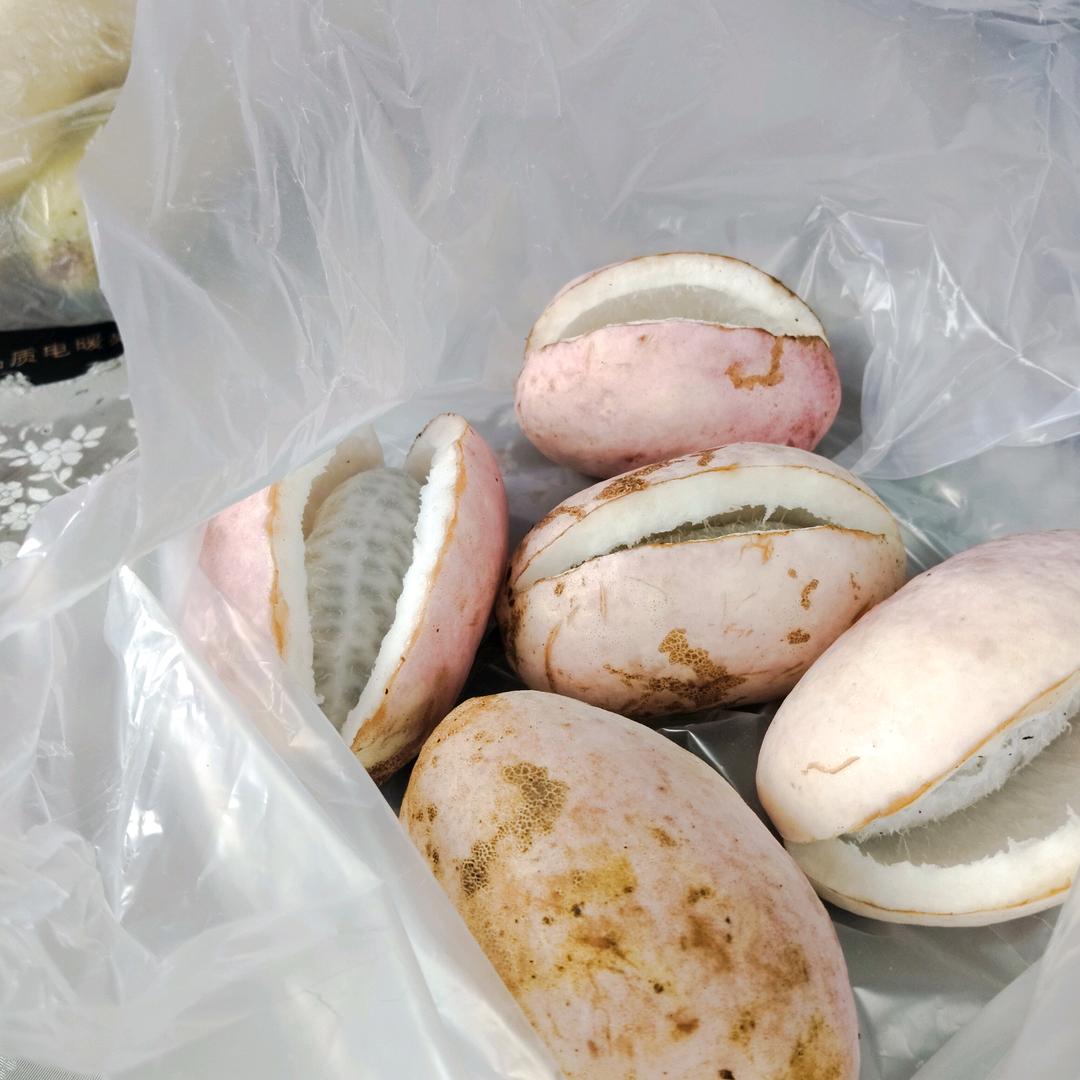 出入平安