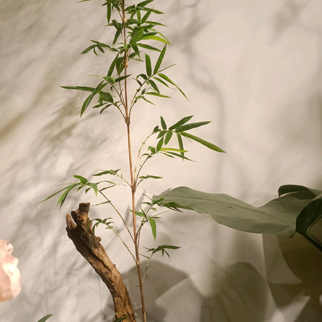 💤🌀🌀玖月🌀🌀💤