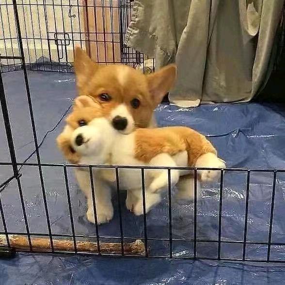 🌚🌚撸起袖子加油干