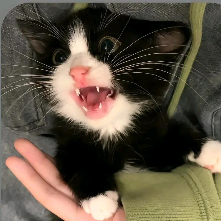 。-