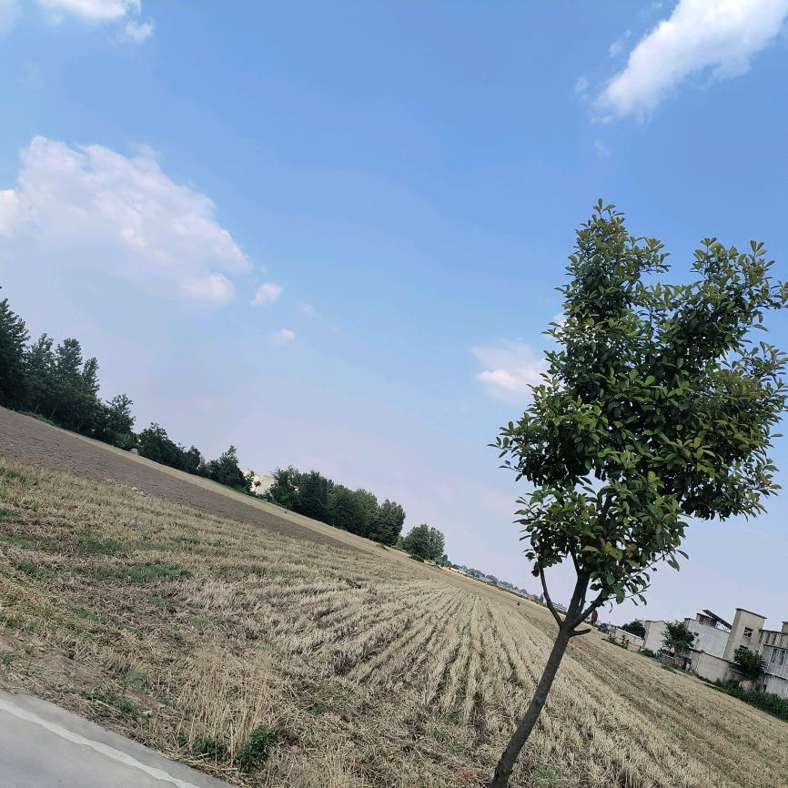 地理大观
