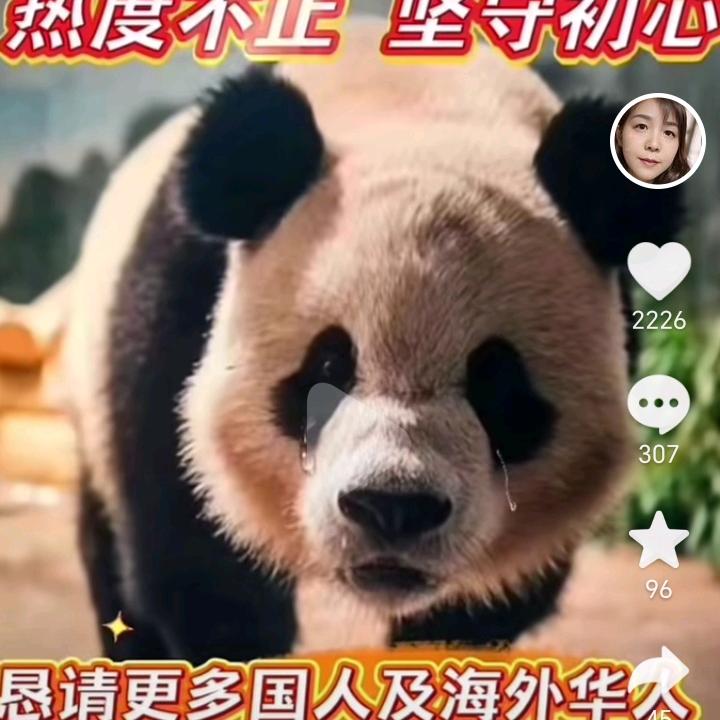 中国人做中国事