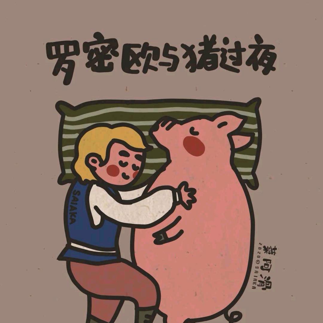 罗密欧与猪过夜