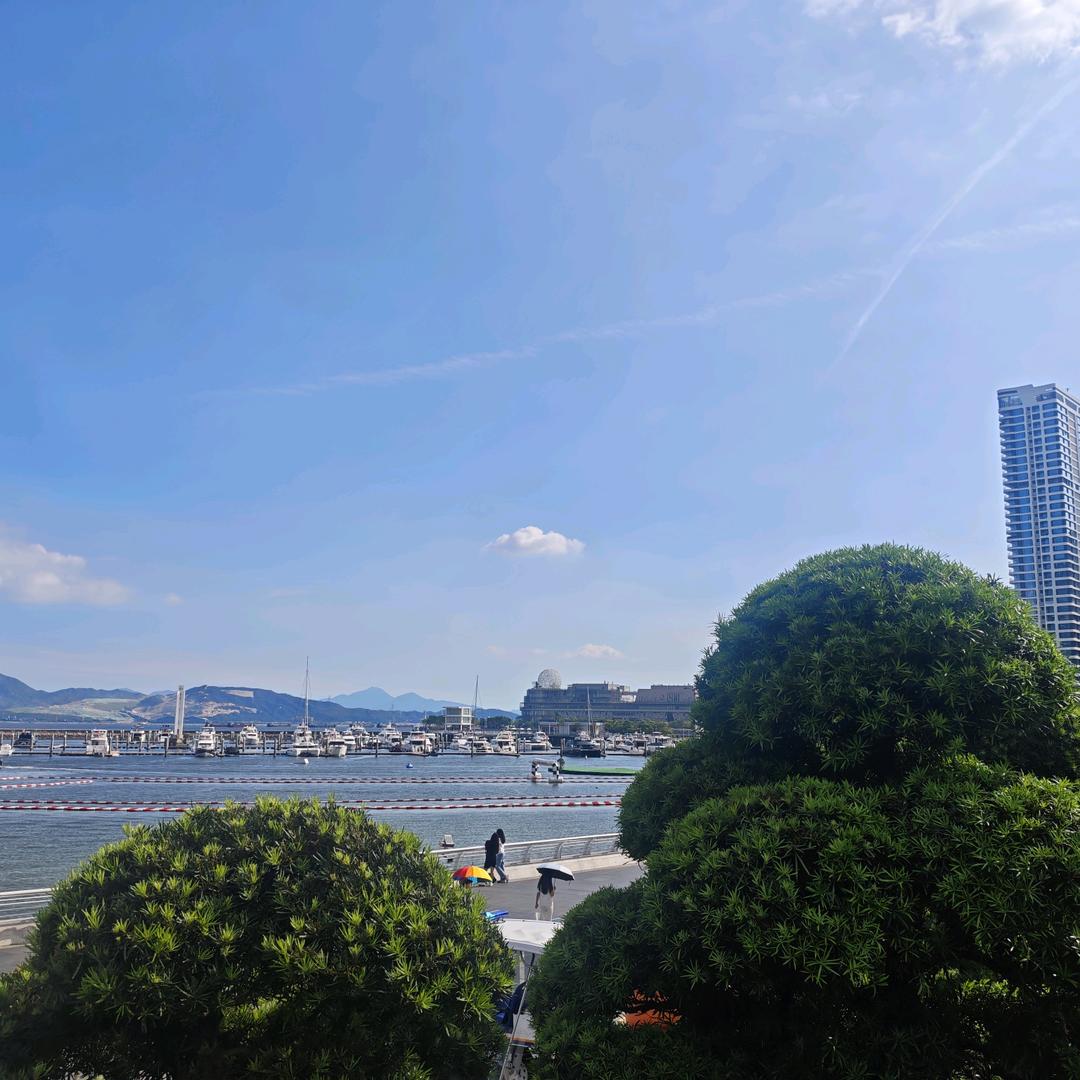 海-