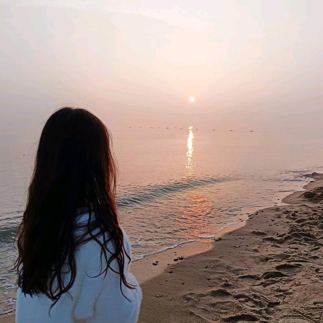 太阳花