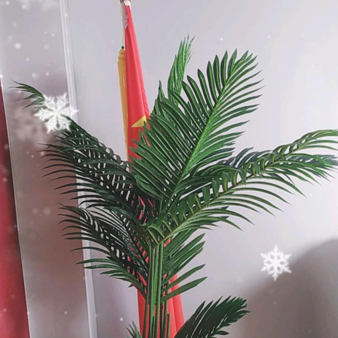 凯旋商贸咨询