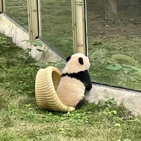 小💙夏瓜〃