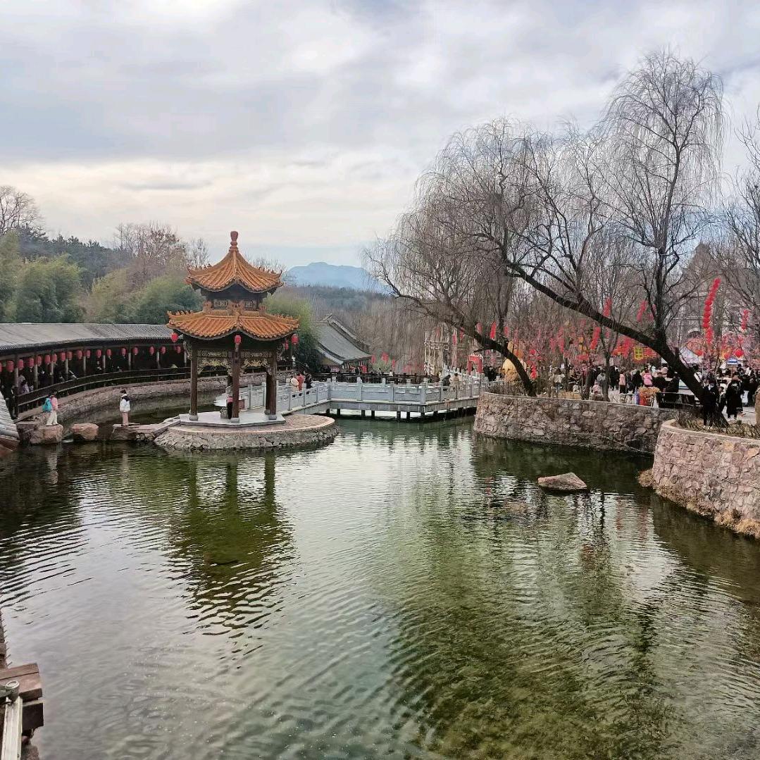 晓蕊家凉皮(北郡店)官方号