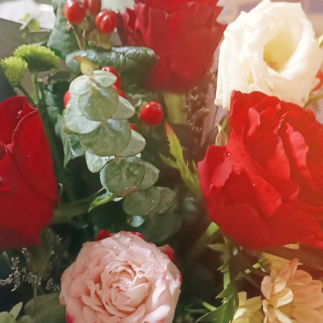 受伤的玫瑰，🌹🌹🌹🌹🌹🌹🥀