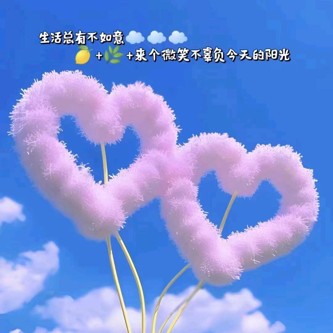 温木《笨笨猪》