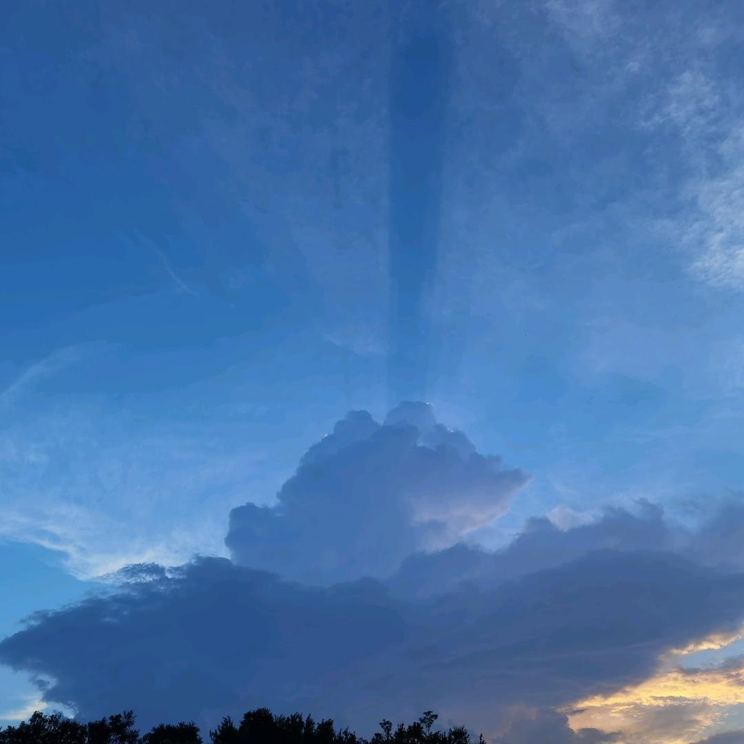 莫笑农家腊酒浑