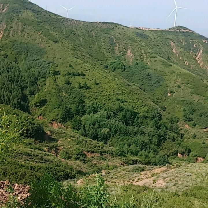 飞天、