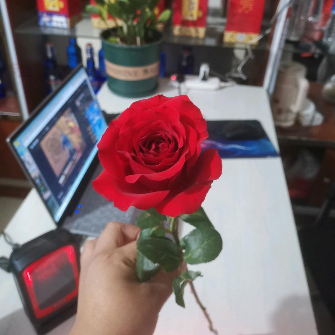 肃宁诺贝尔瓷砖～玲