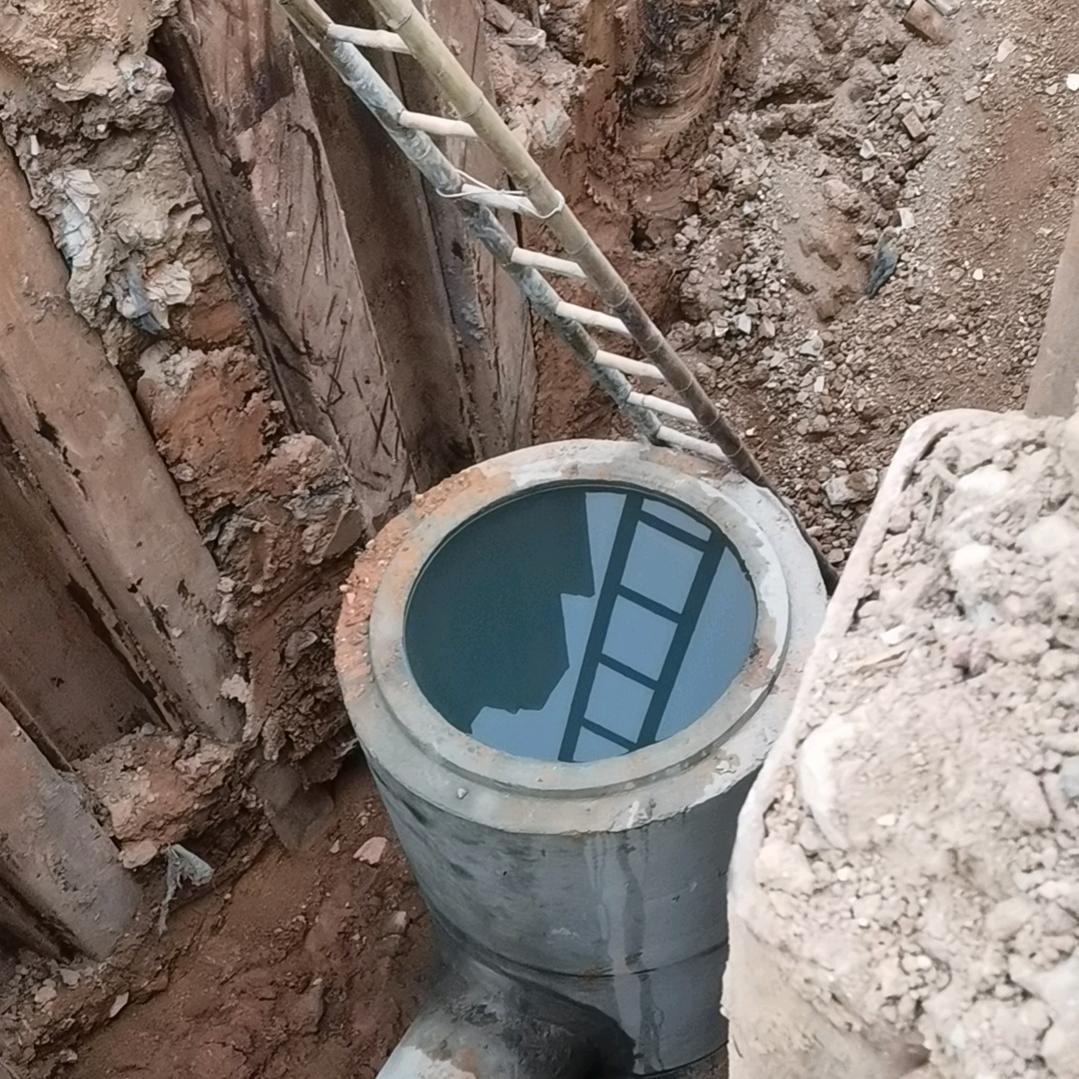 龙