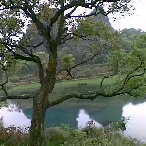 🌱人生如戏