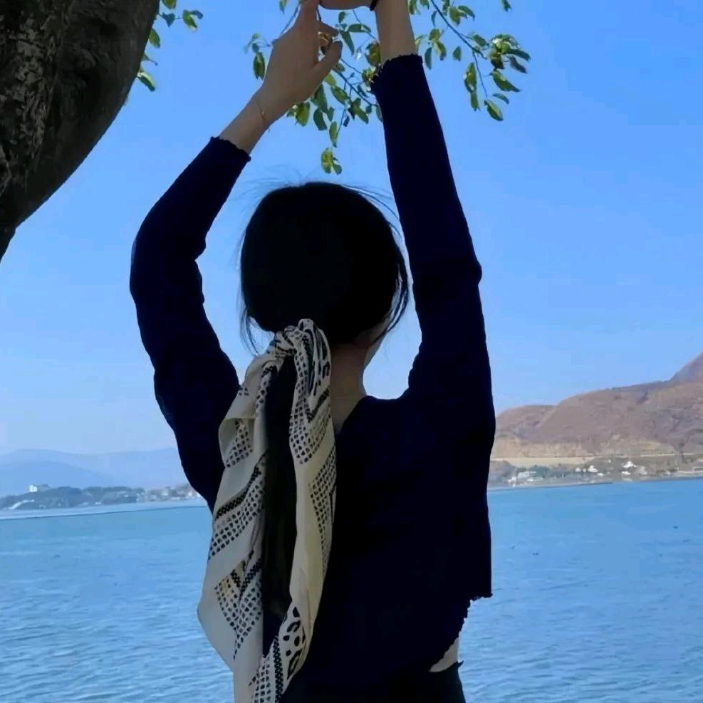 番茄视频
