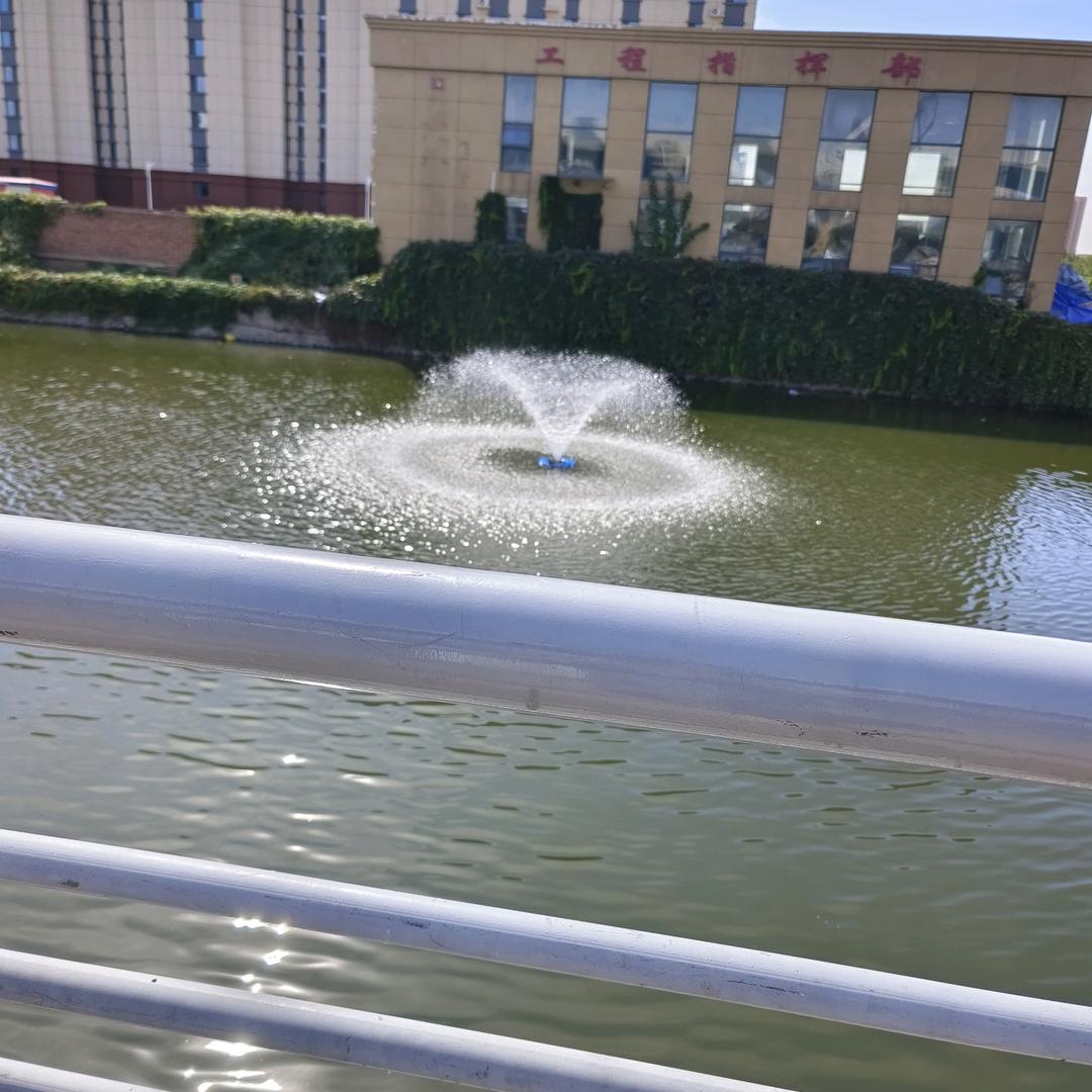 芝